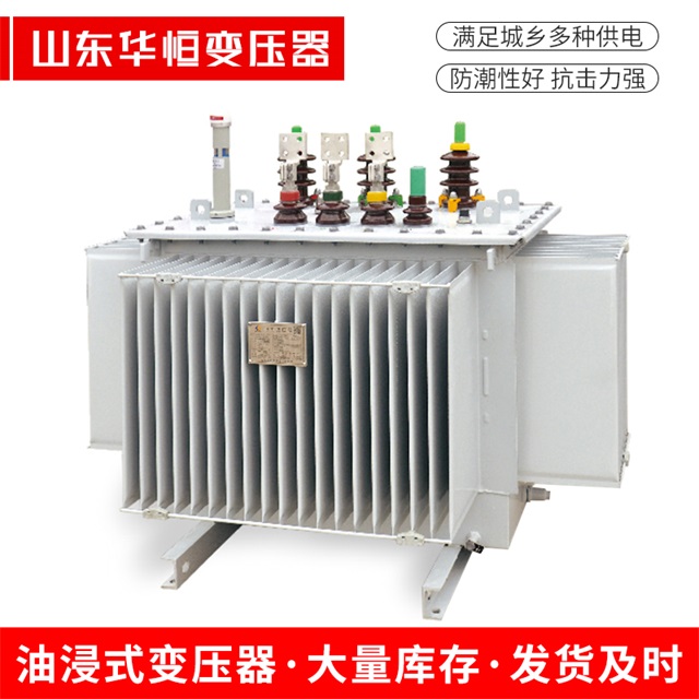 S13-10000/35天心天心天心电力变压器